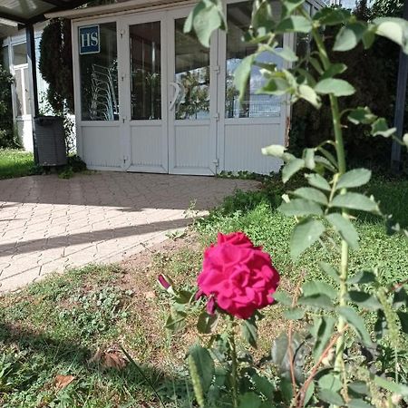 Hostal Brin Monreal del Campo Exteriör bild